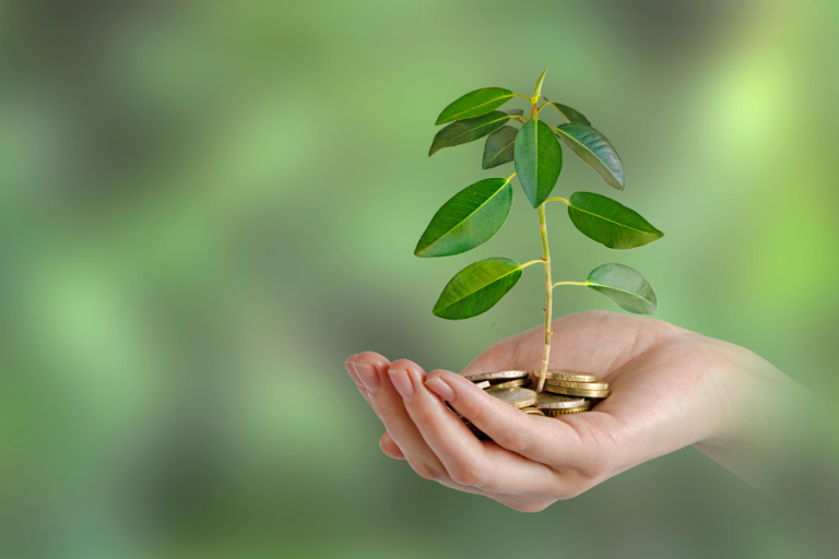 rota-consulting-racunovodstvo-u-sluzbi-odrzive-buducnosti